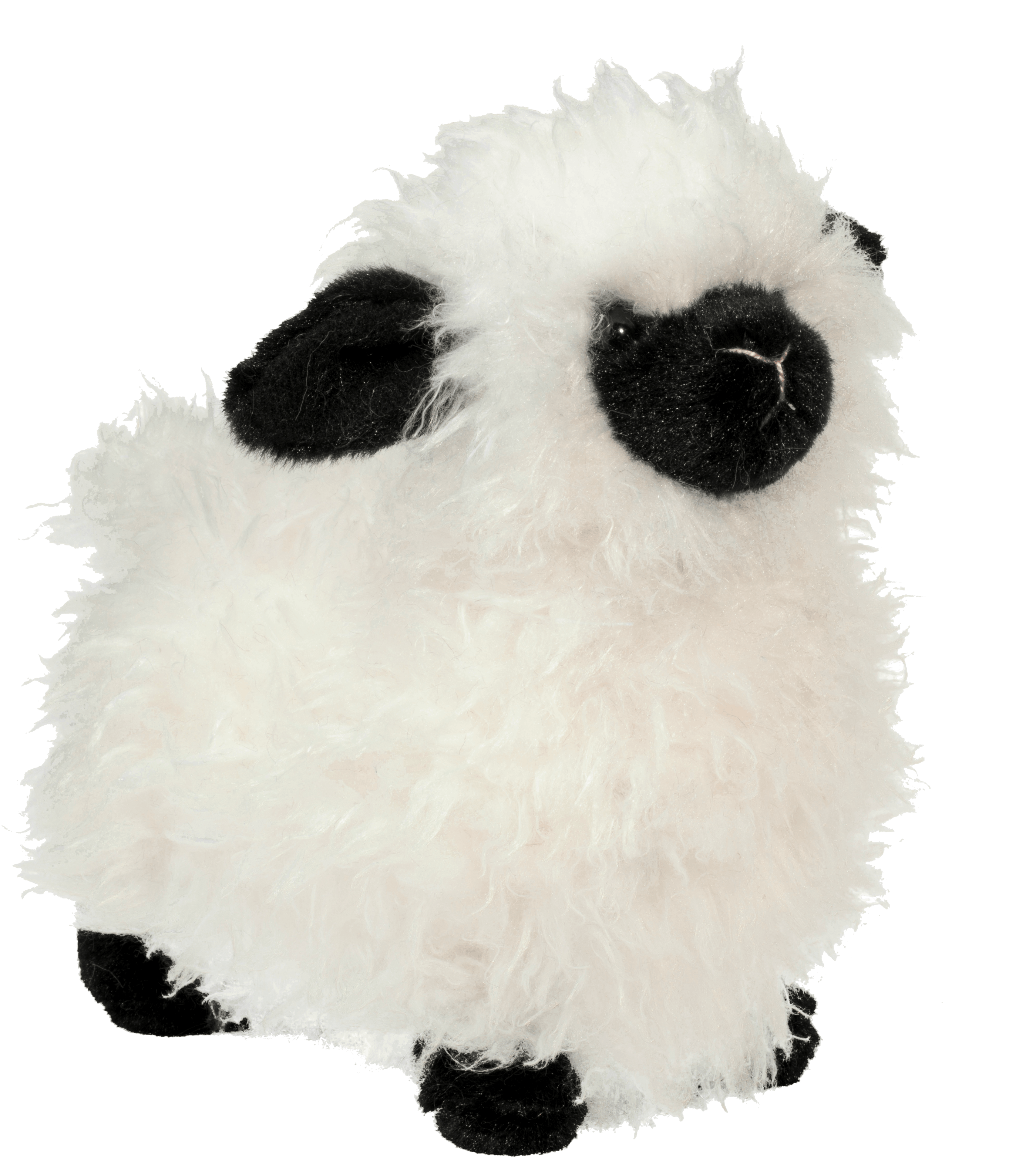 sheep!!